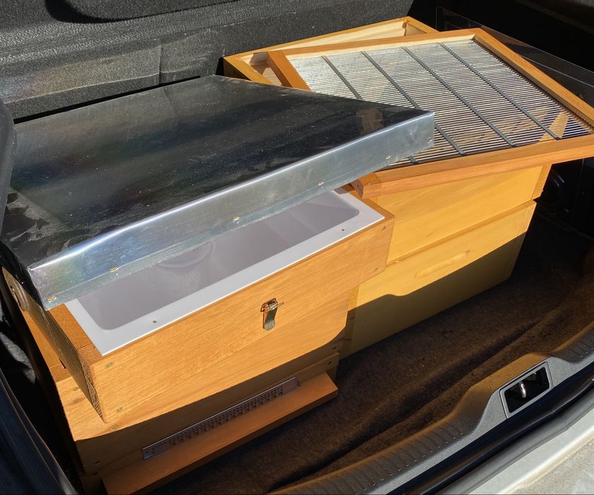 Ul wielkopolski na ramkę 18