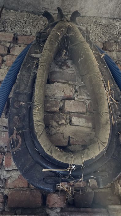 Stare dobre homonto uprząż do konia antyk