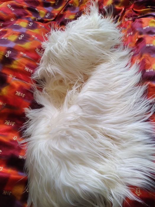 Шуба из білої лами (білого яку) оверсайз кимоно от М до ХХХЛ  невесте