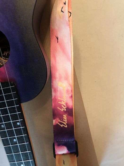 Ukulele concerto Flight Travel Elise Ecklund