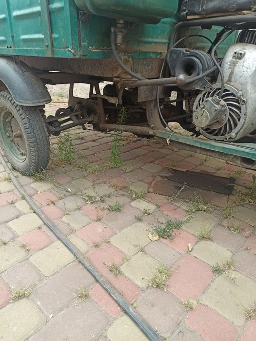 Продам муравей !