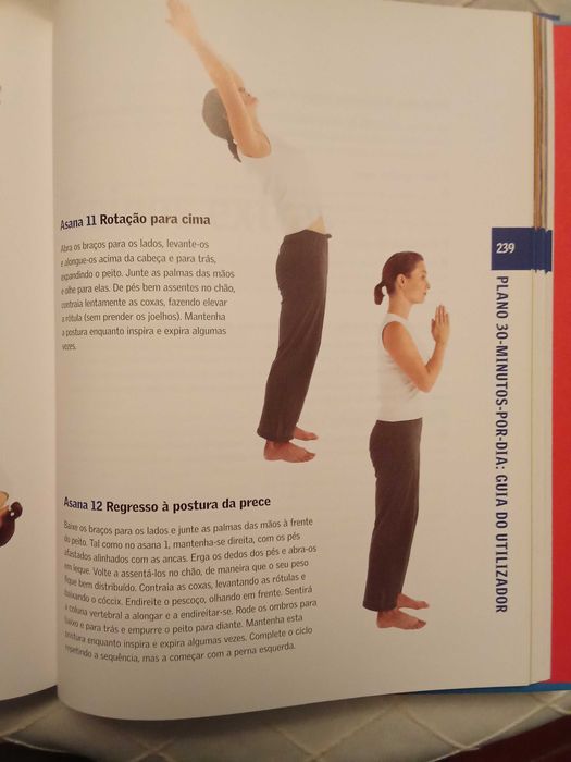 como controlar seu colesterol + coração saudável + saúde e bem estar