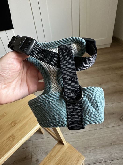 Sztruksowe szelki na malego psa