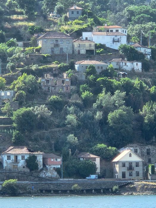 Terreno Urbano, na Margem do Rio Douro, com duas casas para Recuperar - Baião ( Ancede e Ribadouro )