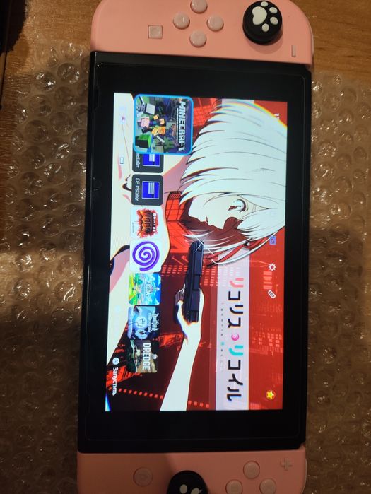 Nintendo switch kefir v2