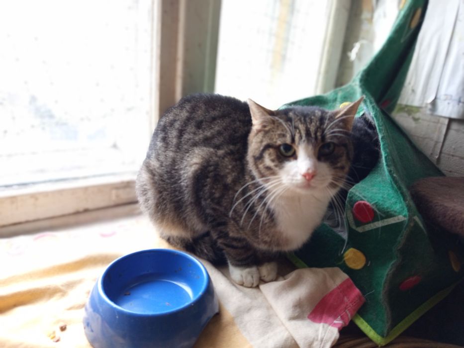 Migdał marzy o nowym domku