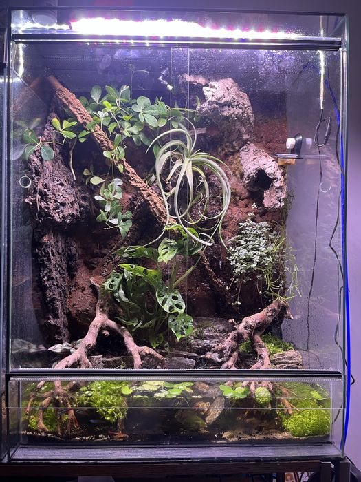 Paludarium/Terrarium  80/60/40