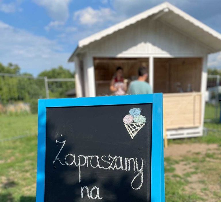 Lodziarnia mobilna budka i konserwator Dolce Vita 10+10 Lody domek