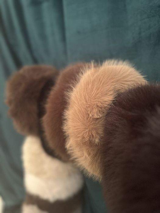 Хутряна пов'язка з лисиці меховая повязка