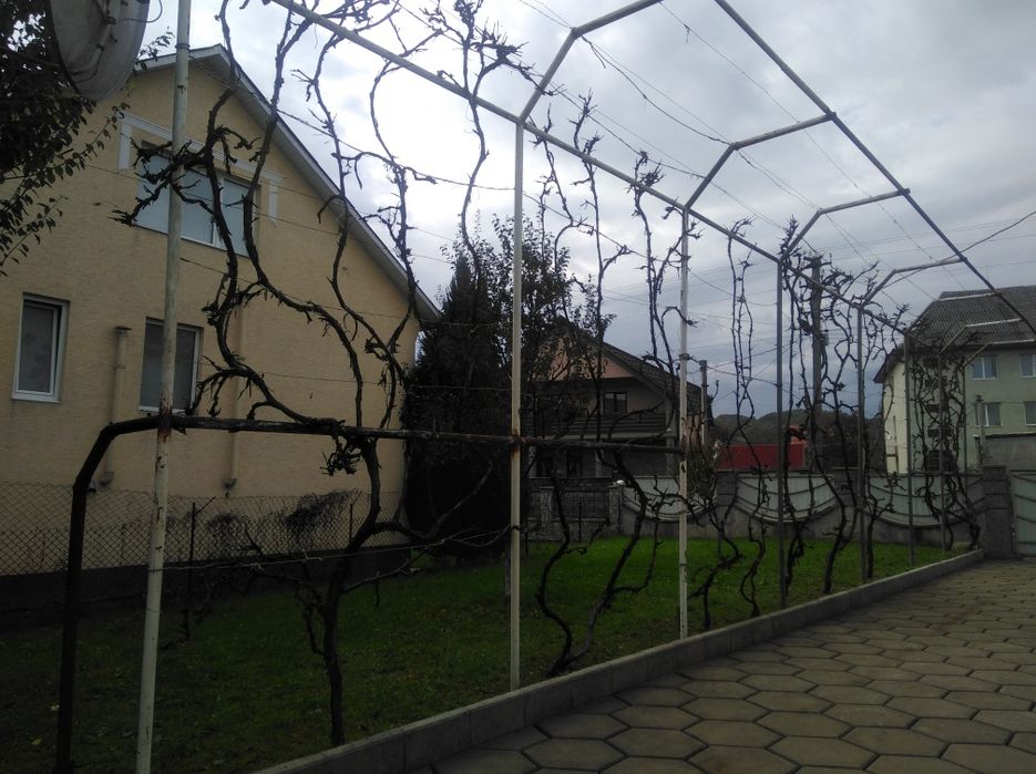 Продається будинок.Закарпатська обл.Тячівський р—н.,село Вільхівці.