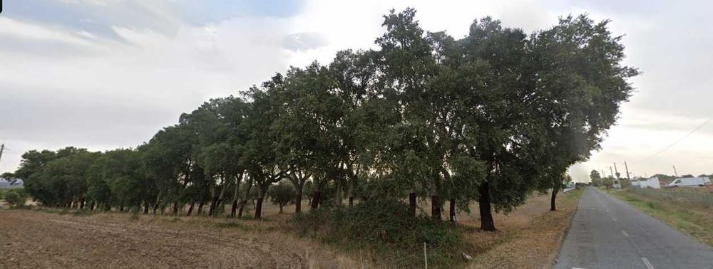 Terreno de Sobral e Oliveira