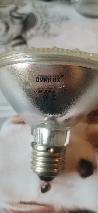 Żarówka promiennik 100 W używana