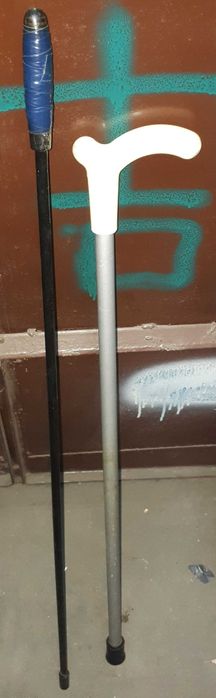 Палка трость палочка тростинка