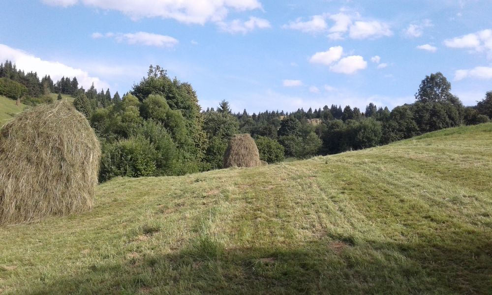 Продам будинок в Міжгірському районі