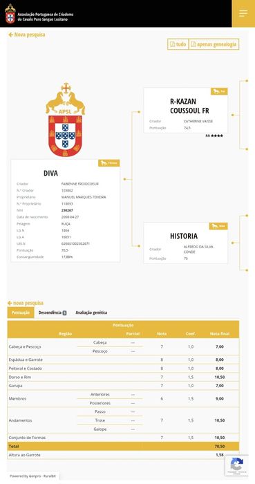 Poldra PSL com 9meses