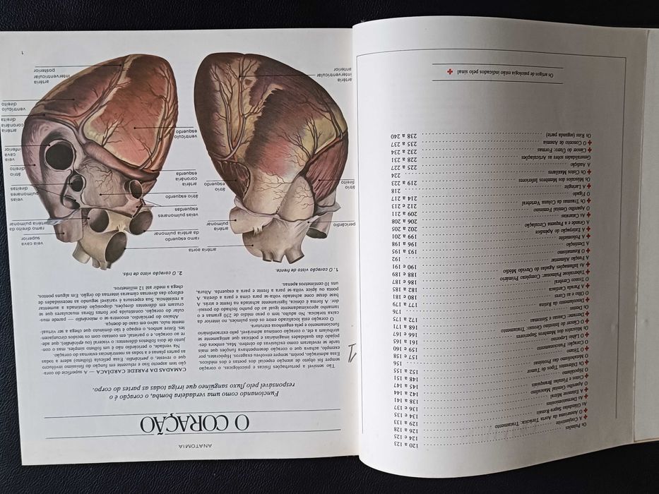Enciclopédia "Medicina e Saúde", Dr. Robert E. Rothenberg