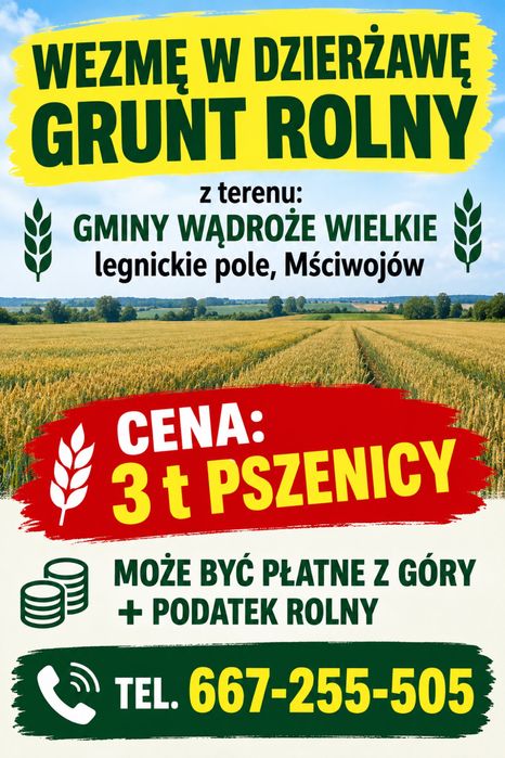 Wezme w dzierzawe grunt rolny