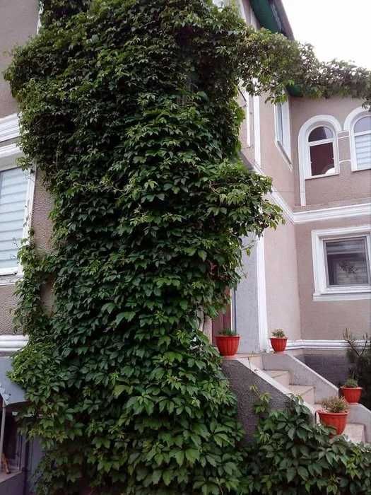 Дом по адресу ул. 21 км. Старокиевской дороги (площадь 120 м²) - Atlanta.ua - фото 2