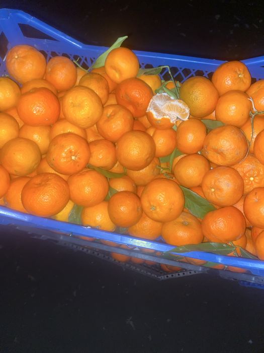 Мандарин опт и розница. Клементин,дубеш