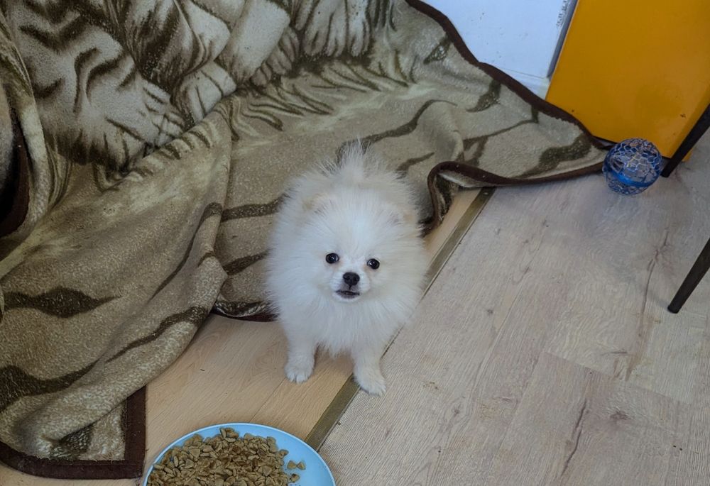 Хлопчик 3,5місяців !