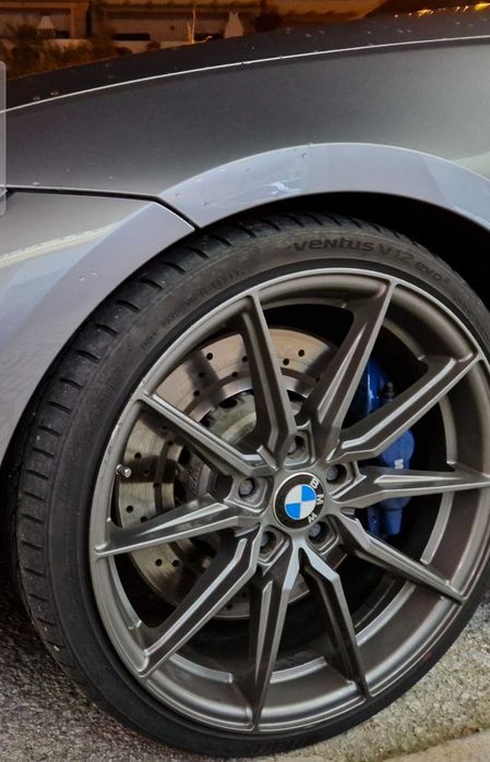 Jantes vossen hf3