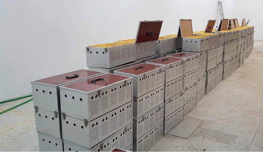 Caixas Aluminio para Transporte Pombos - Correio ou pombos de vara