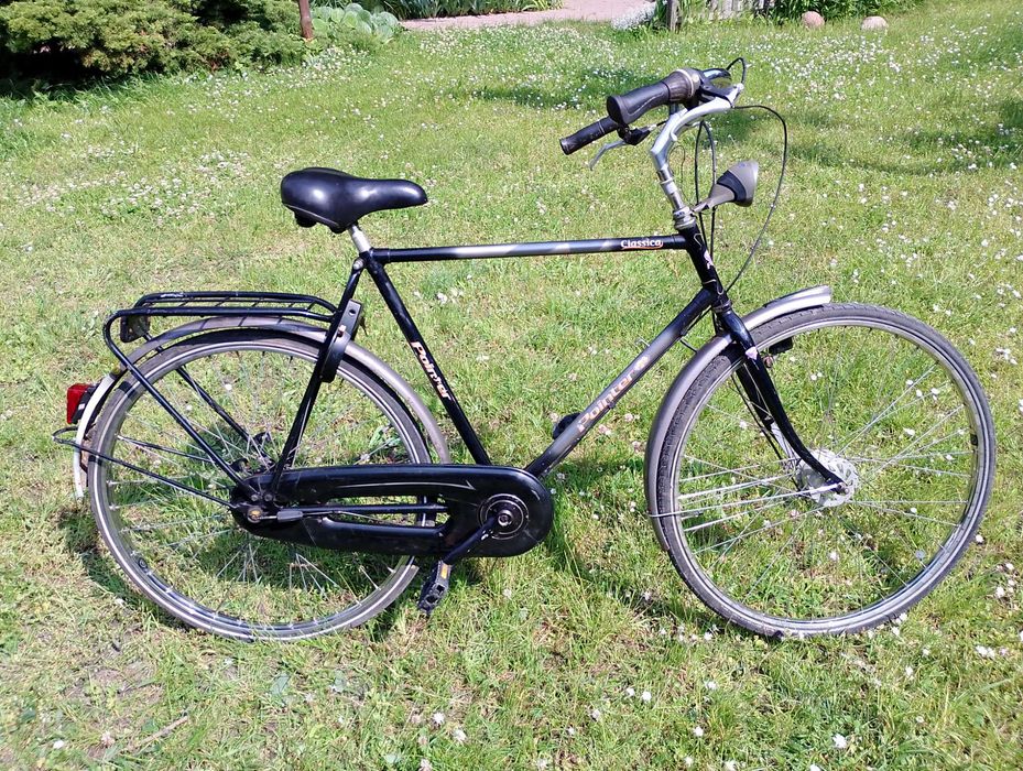 Pointer Classica: Holender, oldschool, vintage