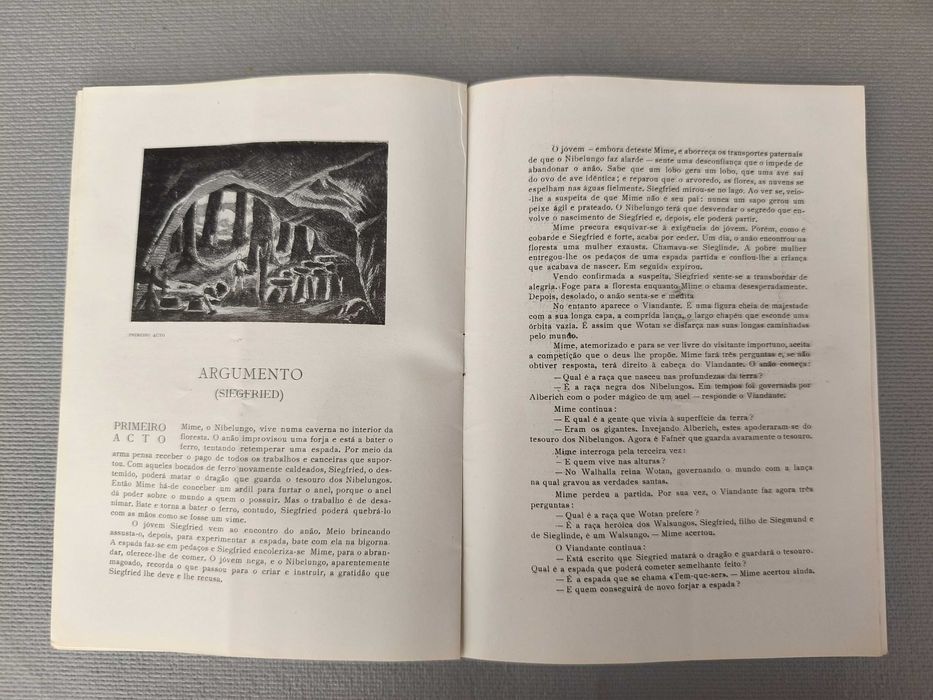 SIEGFRED - Wagner
Programa Ópera S. Carlos+ BILHETE