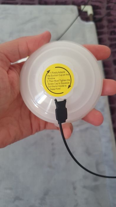 Cama gato para janela