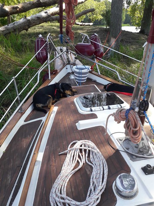 Okazyjnie sprzedam jacht balastowo-mieczowy HABER 730 + przyczepa