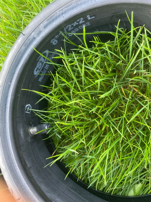 Opony do hujanogi nowe