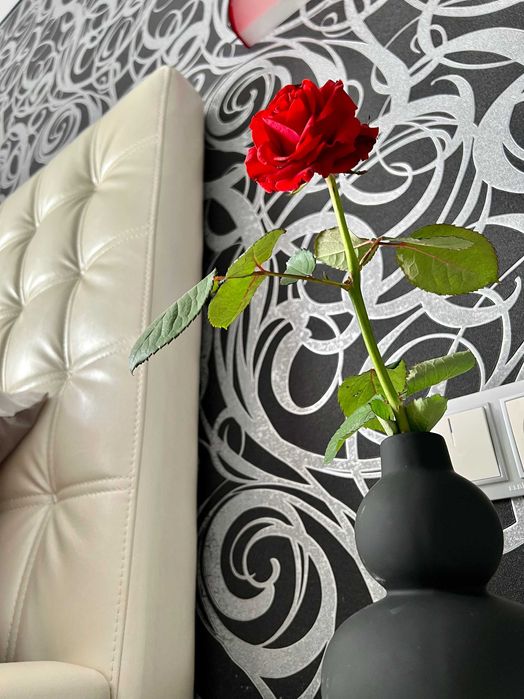 Просторі та комфортні апартаменти. Власник. Подобово