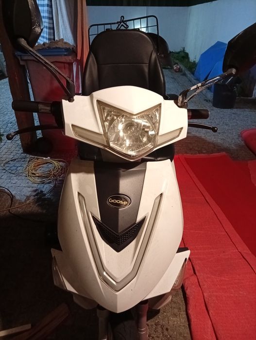 Mota Elétrica Goose R3