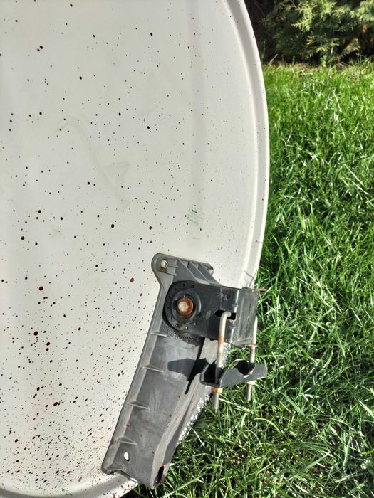 Antena satelitarna z konwerterem