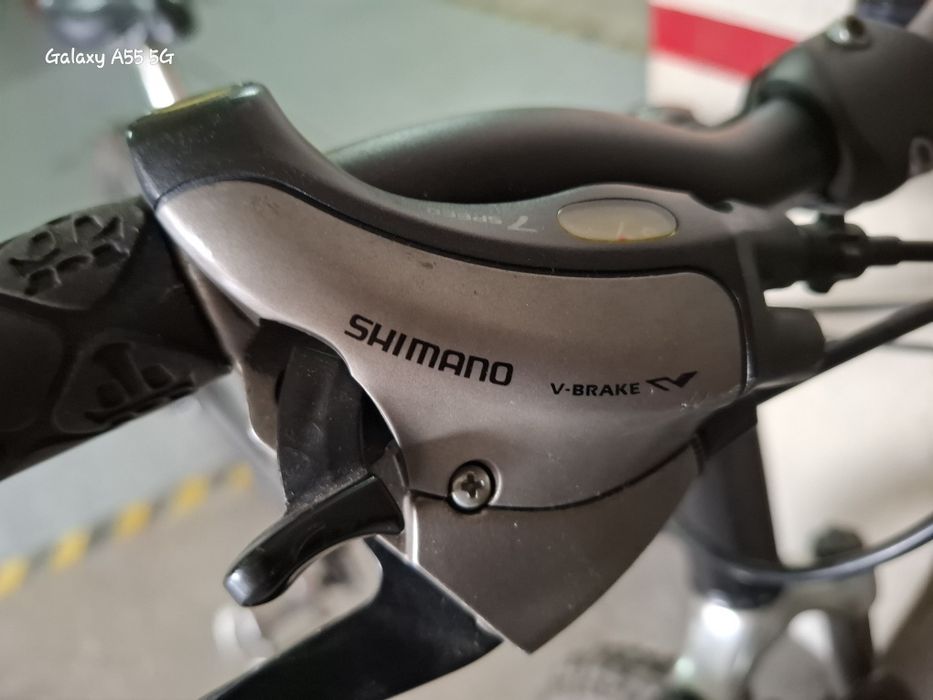Bicicleta adultos