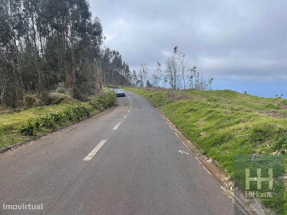 Terreno Rústico com 36.312 m2 no Campanário, Ribeira Brava