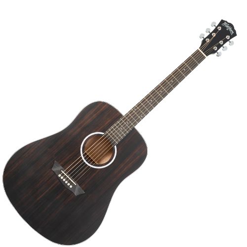 WASHBURN DF (ED) gitara akustyczna