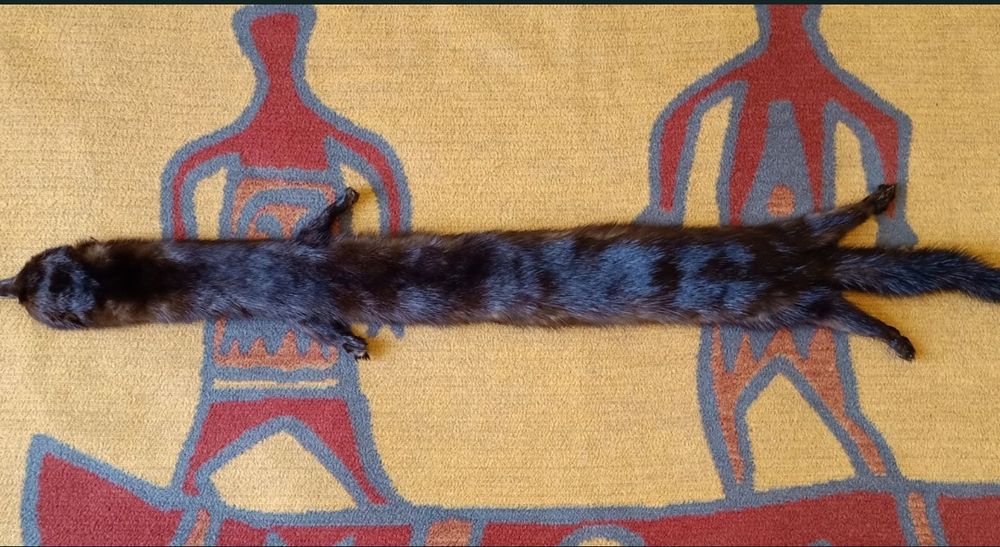 Futerko z norki , zadbane, błyszczące . Długość 70 cm , szerokość 6,5