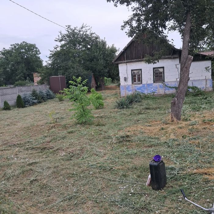 Спил деревьев, расчистка участка, покос травы, демонтаж-вывоз