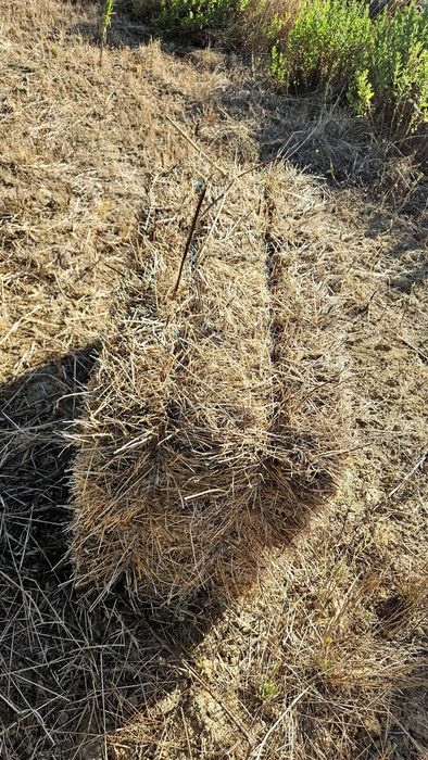 Fardos feno pequenos 2025