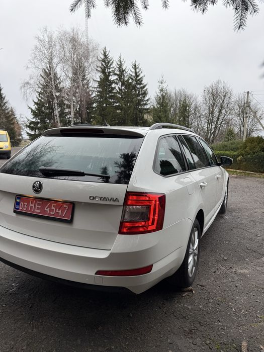 Skoda octavia 7 Шкода октавія а 7