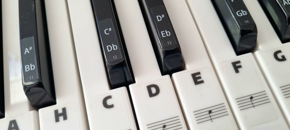Keyboard Medeli mk100