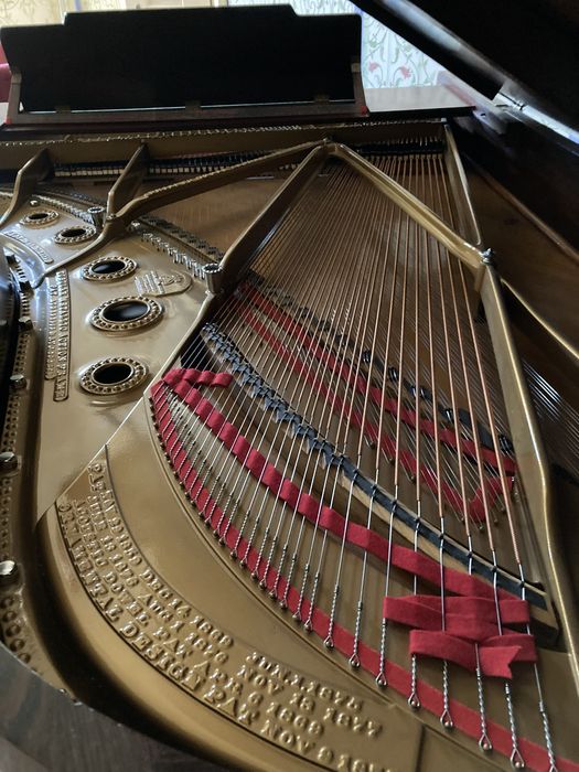 Steinway & Sons B-211 de 1900 Restaurado em Pau Santo