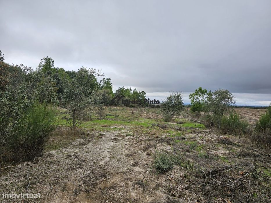 Flat plot with good access