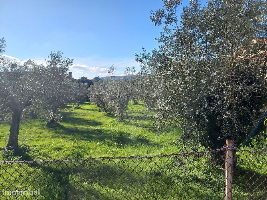 Terreno  para venda