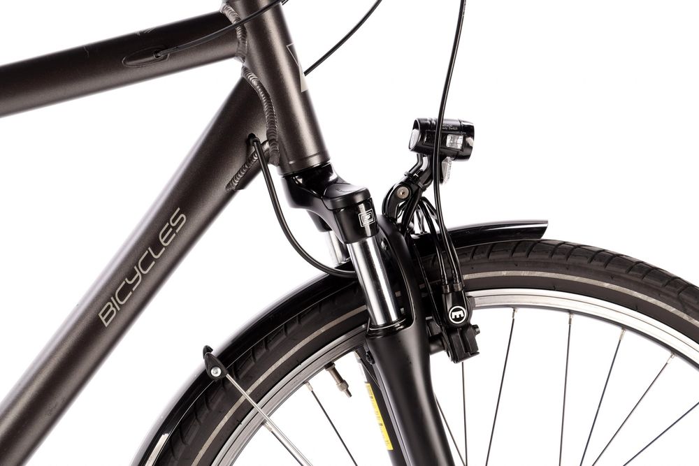 Rower męski Bicycles EXT 700+ 56 cm (L)