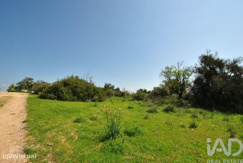 Terreno Agrícola em Paderne