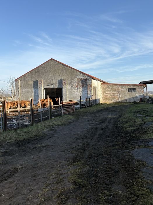 Sprzedam Gospodarstwo Rolne 187 ha