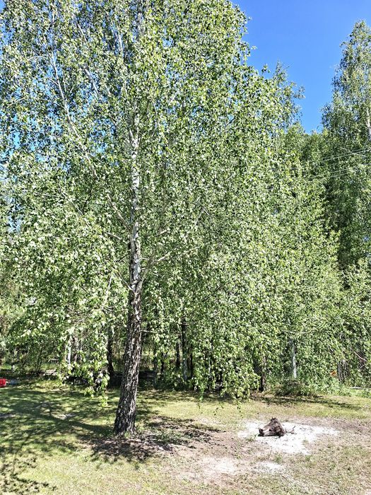 Продаж ! Будинок  185 м2  6 кімнат Ліс . Бородянка , Макарів