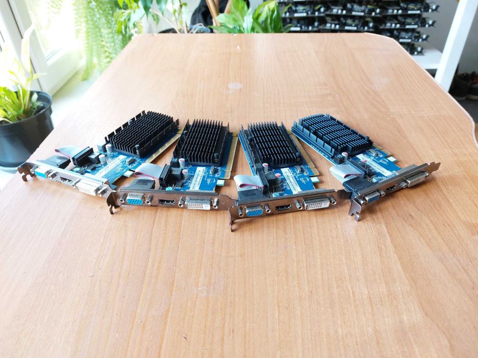 Karta graficzna Sapphire Radeon R5 230 1GB (zestaw 4 sztuk)